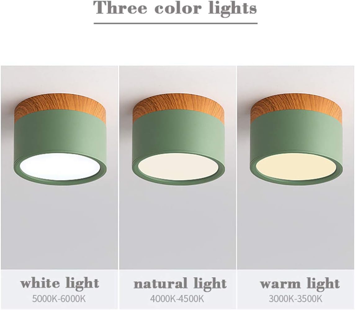 LED Ceiling Light Fixture