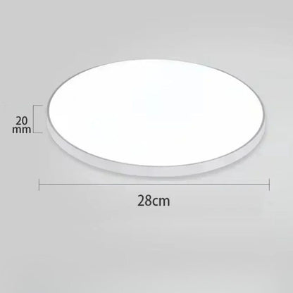 Surface-Mounted LED Ceiling Light Fixture