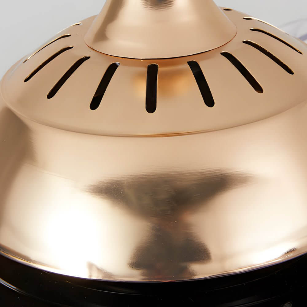 Invisible Silent Ceiling Fan Ring Remote LED Chandelier