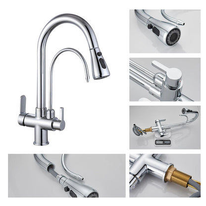 Luxury Monobloc Kitchen Tap Dual Function with Filter & Pull-Out Spray