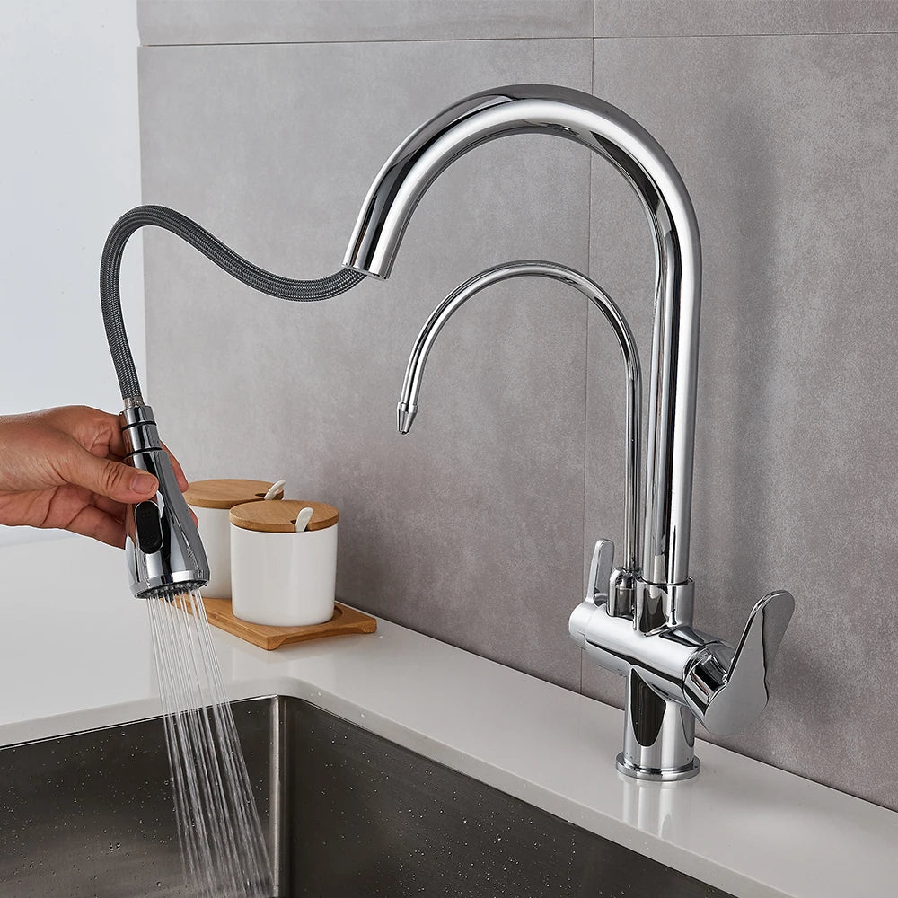 Luxury Monobloc Kitchen Tap Dual Function with Filter & Pull-Out Spray