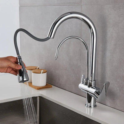 Luxury Monobloc Kitchen Tap Dual Function with Filter & Pull-Out Spray